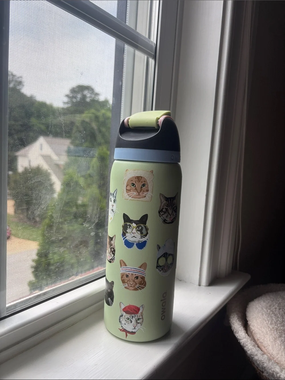 Owala Cat Print Stainless Water Bottle - Pastel Green - Picture 4 of 7